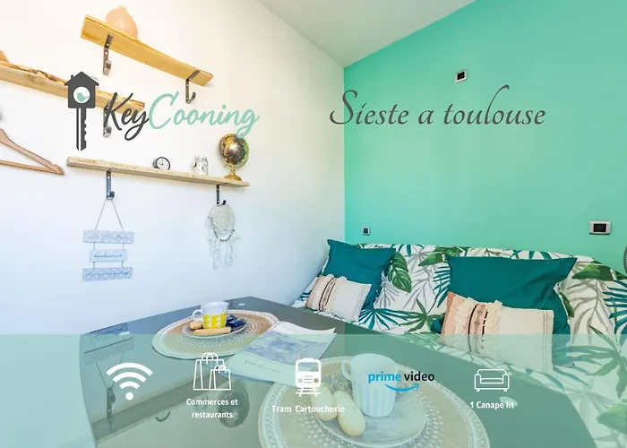 Cosy - Appartement Sieste A Toulouse
